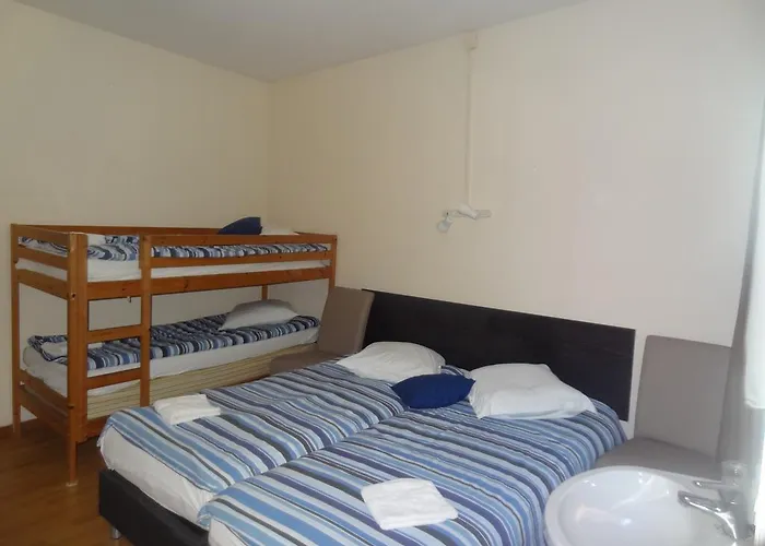 Gæstehus Logies Ocelot *