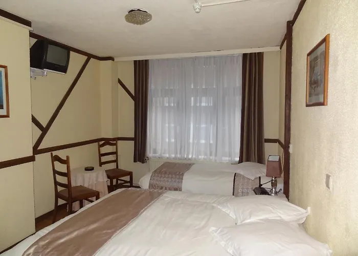 Gæstehus Logies Ocelot *